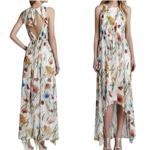 Revolve Alice + Oliva Mel Dress Size 0 Open Back High-Low Exotic Poppy Maxi